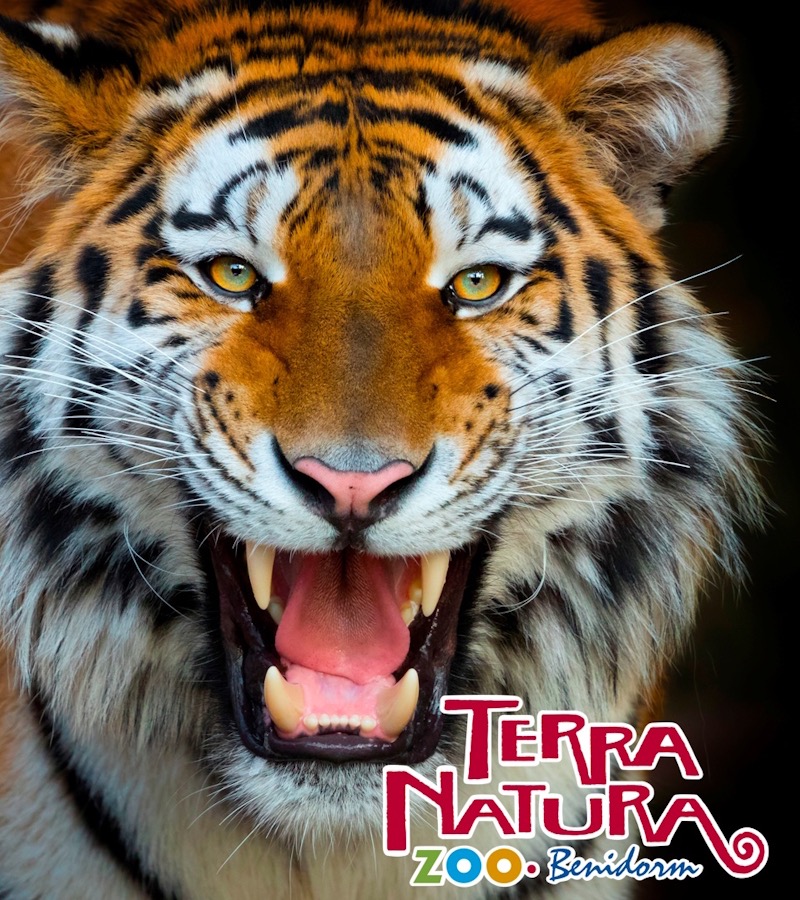 Terra Natura Benidorm 