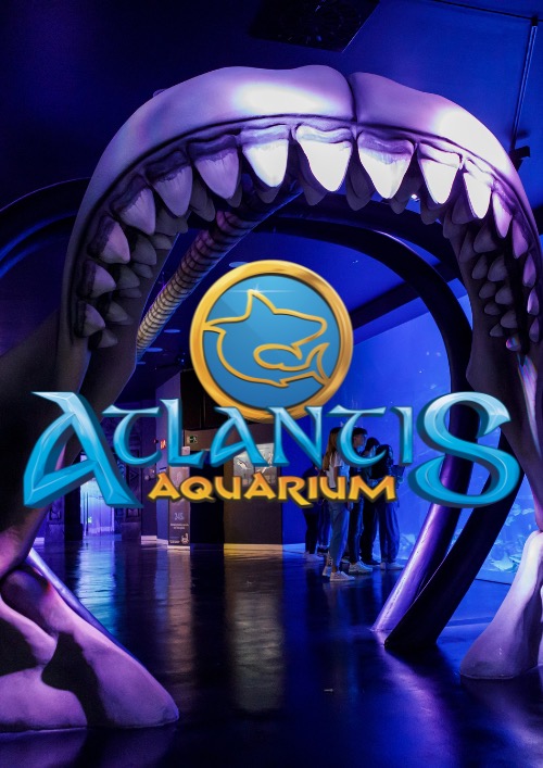 Atlantis Aquarium Madrid 